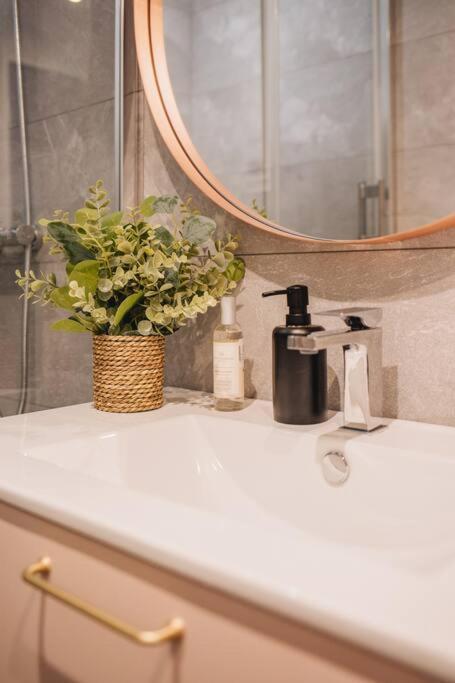 La Vie En Rose - Luxe, Calme & Hypercentre - 3* Daire Annecy Dış mekan fotoğraf